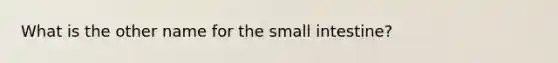 What is the other name for the small intestine?