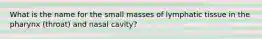 What is the name for the small masses of lymphatic tissue in the pharynx (throat) and nasal cavity?