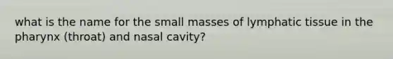 what is the name for the small masses of lymphatic tissue in <a href='https://www.questionai.com/knowledge/ktW97n6hGJ-the-pharynx' class='anchor-knowledge'>the pharynx</a> (throat) and nasal cavity?