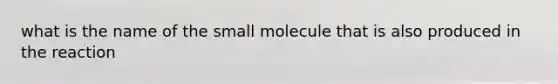 what is the name of the small molecule that is also produced in the reaction