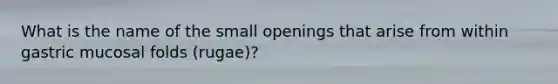 What is the name of the small openings that arise from within gastric mucosal folds (rugae)?