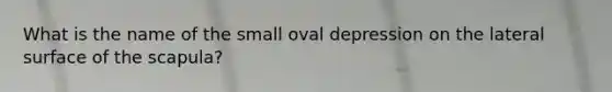 What is the name of the small oval depression on the lateral surface of the scapula?
