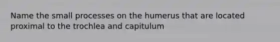 Name the small processes on the humerus that are located proximal to the trochlea and capitulum