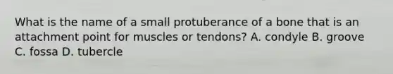 What is the name of a small protuberance of a bone that is an attachment point for muscles or tendons? A. condyle B. groove C. fossa D. tubercle