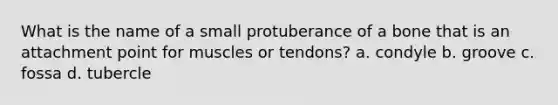 What is the name of a small protuberance of a bone that is an attachment point for muscles or tendons? a. condyle b. groove c. fossa d. tubercle