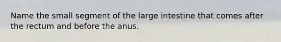 Name the small segment of the large intestine that comes after the rectum and before the anus.