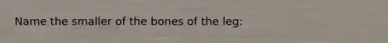 Name the smaller of the bones of the leg: