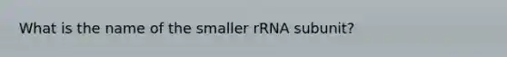 What is the name of the smaller rRNA subunit?