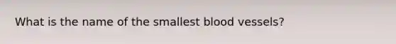 What is the name of the smallest blood vessels?