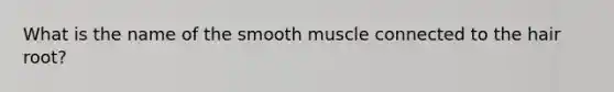 What is the name of the smooth muscle connected to the hair root?