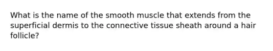 What is the name of the smooth muscle that extends from the superficial dermis to the connective tissue sheath around a hair follicle?