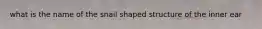 what is the name of the snail shaped structure of the inner ear