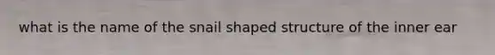 what is the name of the snail shaped structure of the inner ear