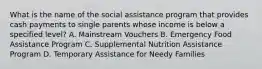 What is the name of the social assistance program that provides cash payments to single parents whose income is below a specified level? A. Mainstream Vouchers B. Emergency Food Assistance Program C. Supplemental Nutrition Assistance Program D. Temporary Assistance for Needy Families