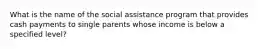 What is the name of the social assistance program that provides cash payments to single parents whose income is below a specified level?