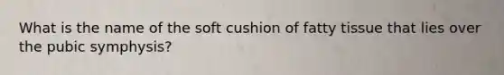 What is the name of the soft cushion of fatty tissue that lies over the pubic symphysis?