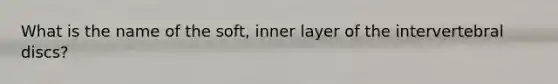 What is the name of the soft, inner layer of the intervertebral discs?