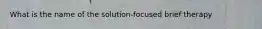 What is the name of the solution-focused brief therapy