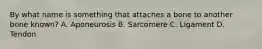 By what name is something that attaches a bone to another bone known? A. Aponeurosis B. Sarcomere C. Ligament D. Tendon
