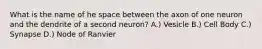 What is the name of he space between the axon of one neuron and the dendrite of a second neuron? A.) Vesicle B.) Cell Body C.) Synapse D.) Node of Ranvier