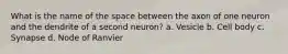 What is the name of the space between the axon of one neuron and the dendrite of a second neuron? a. Vesicle b. Cell body c. Synapse d. Node of Ranvier