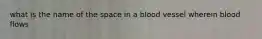 what is the name of the space in a blood vessel wherein blood flows