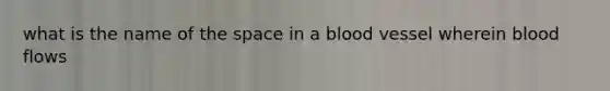 what is the name of the space in a blood vessel wherein blood flows