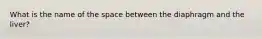 What is the name of the space between the diaphragm and the liver?