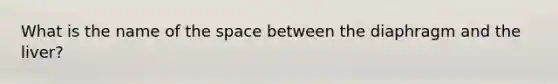 What is the name of the space between the diaphragm and the liver?