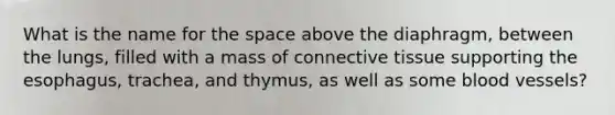 What is the name for the space above the diaphragm, between the lungs, filled with a mass of connective tissue supporting the esophagus, trachea, and thymus, as well as some blood vessels?