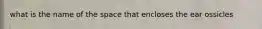 what is the name of the space that encloses the ear ossicles