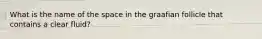 What is the name of the space in the graafian follicle that contains a clear fluid?