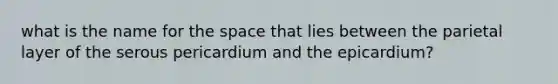 what is the name for the space that lies between the parietal layer of the serous pericardium and the epicardium?