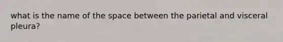 what is the name of the space between the parietal and visceral pleura?