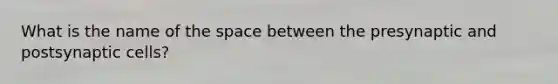 What is the name of the space between the presynaptic and postsynaptic cells?