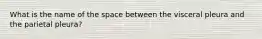 What is the name of the space between the visceral pleura and the parietal pleura?