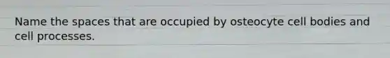 Name the spaces that are occupied by osteocyte cell bodies and cell processes.