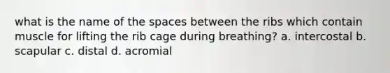 what is the name of the spaces between the ribs which contain muscle for lifting the rib cage during breathing? a. intercostal b. scapular c. distal d. acromial