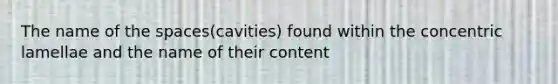 The name of the spaces(cavities) found within the concentric lamellae and the name of their content