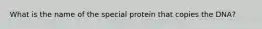 What is the name of the special protein that copies the DNA?