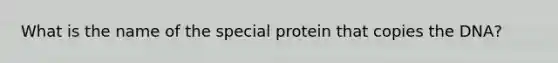 What is the name of the special protein that copies the DNA?