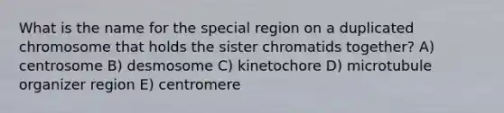 What is the name for the special region on a duplicated chromosome that holds the sister chromatids together? A) centrosome B) desmosome C) kinetochore D) microtubule organizer region E) centromere