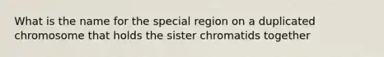 What is the name for the special region on a duplicated chromosome that holds the sister chromatids together