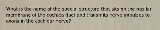 What is the name of the special structure that sits on the basilar membrane of the cochlea duct and transmits nerve impulses to axons in the cochlear nerve?