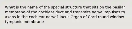 What is the name of the special structure that sits on the basilar membrane of the cochlear duct and transmits nerve impulses to axons in the cochlear nerve? incus Organ of Corti round window tympanic membrane