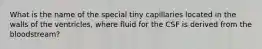 What is the name of the special tiny capillaries located in the walls of the ventricles, where fluid for the CSF is derived from the bloodstream?