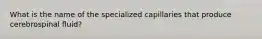 What is the name of the specialized capillaries that produce cerebrospinal fluid?