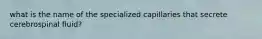 what is the name of the specialized capillaries that secrete cerebrospinal fluid?