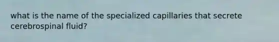 what is the name of the specialized capillaries that secrete cerebrospinal fluid?