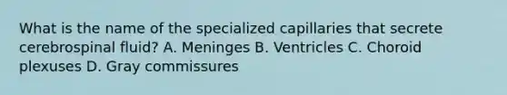 What is the name of the specialized capillaries that secrete cerebrospinal fluid? A. Meninges B. Ventricles C. Choroid plexuses D. Gray commissures